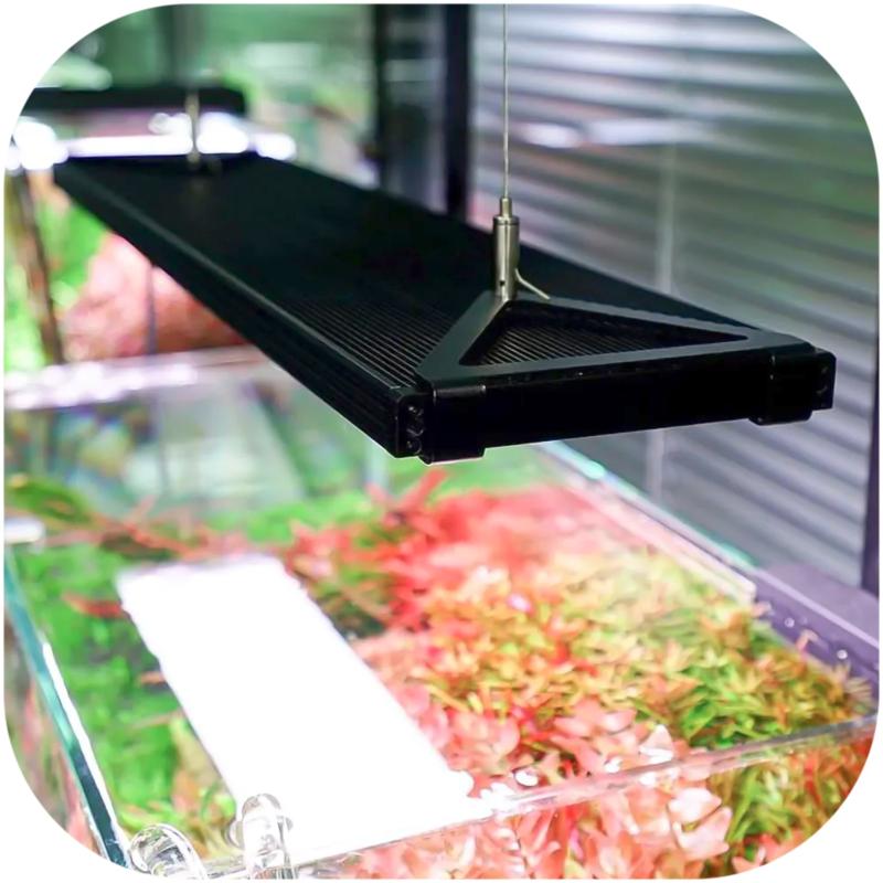 Chihiros WRGB II Pro 45 Cm LED Valgusti (45-60 Cm, 56 W, 5000 Lm ...